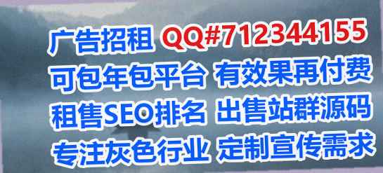 长武借腹生子财务咨询经营部